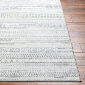 Livabliss Hera Plush Polyester Bohemian Global Area Rug Machine Woven for Living or Dining Rooms HRH2303-810119