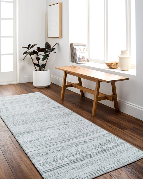 Livabliss Hera Plush Polyester Bohemian Global Area Rug Machine Woven for Living or Dining Rooms HRH2303-810119