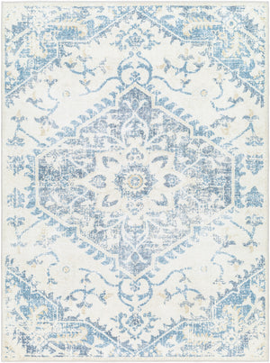 Hera HRH-2304 8'10" x 11'10" Machine Woven Rug HRH2304-810119 Livabliss Surya