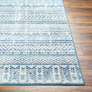 Livabliss Hera Global Bohemian Polyester Area Rug Medium Pile for Living Room or Dining Space HRH2305-810119