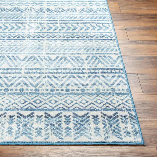 Livabliss Hera Global Bohemian Polyester Area Rug Medium Pile for Living Room or Dining Space HRH2305-810119