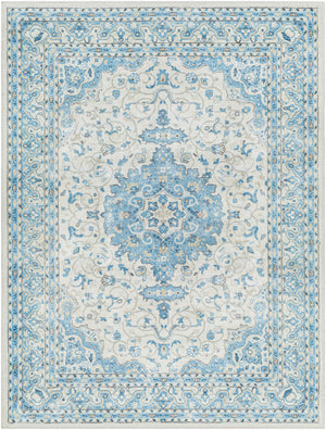 Hera HRH-2308 8'10" x 11'10" Machine Woven Rug HRH2308-810119 Livabliss Surya