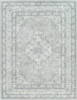 Livabliss Hera Traditional Machine Woven Polyester Runner Rug for Hallways and Entryways Gray, Slate 8'10" x 11'10" HRH2309-810119