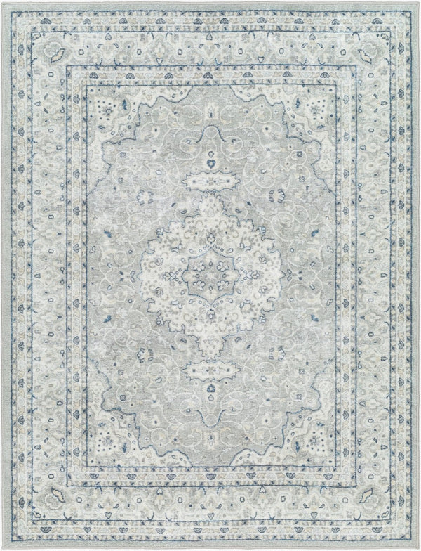Livabliss Hera Traditional Machine Woven Polyester Runner Rug for Hallways and Entryways Gray, Slate 8'10" x 11'10" HRH2309-810119