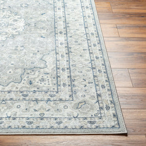 Livabliss Hera Traditional Machine Woven Polyester Runner Rug for Hallways and Entryways Gray, Slate 8'10" x 11'10" HRH2309-810119