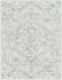 Hera HRH-2310 8'10" x 11'10" Machine Woven Rug HRH2310-810119 Livabliss Surya