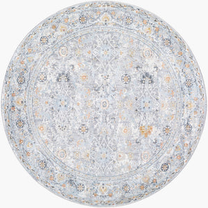 Livabliss Hassler Traditional Machine Woven Polypropylene Area Rug for Entryway or Sitting Room Taupe, Dusty Sa 5'3" x 5'3" HSL2300-53RD