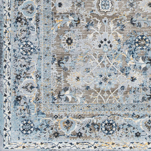 Livabliss Hassler Traditional Fringe Square Area Rug Polypropylene Blend for Formal Living Rooms Light Slate, Ch 6'7" x 6'7" HSL2301-67RD