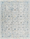 Hassler Machine Woven Rug HSL-2302