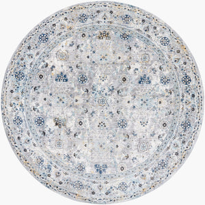 Livabliss Hassler Traditional Pattern Square Area Rug Polypropylene Blend for Living Room Light Slate, Du 7'10" x 7'10" HSL2302-710RD
