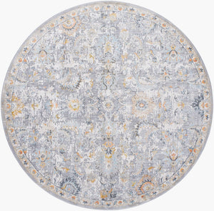 Livabliss Hassler Traditional Medallion Area Rug Turkish Woven Polypropylene Living Room Accent Taupe, Light Sl 6'7" x 6'7" HSL2303-67RD