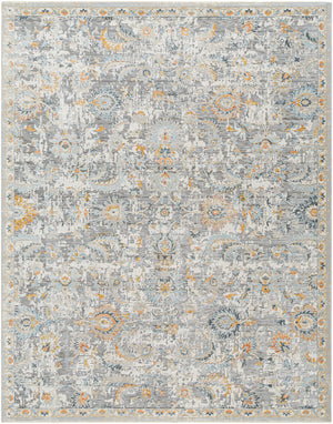 Hassler HSL-2303 9' x 12'2" Machine Woven Rug HSL2303-9122 Livabliss Surya