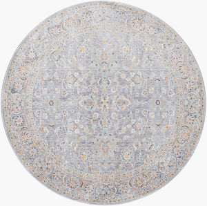 Livabliss Hassler Traditional Persian European Area Rug Machine Woven for Living and Dining Rooms Light Slate, Du 6'7" x 6'7" HSL2304-67RD