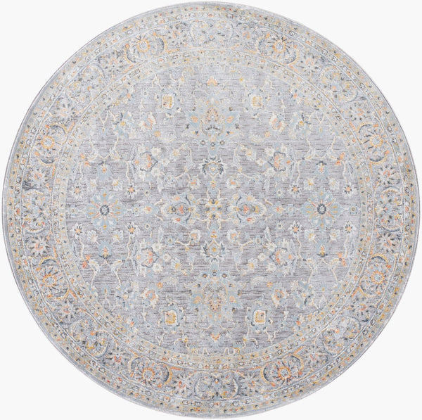 Livabliss Hassler Traditional Persian European Area Rug Machine Woven for Living and Dining Rooms Light Slate, Du 6'7" x 6'7" HSL2304-67RD
