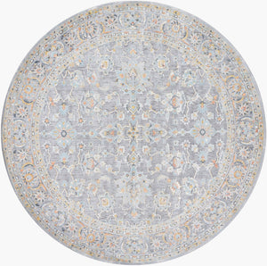 Livabliss Hassler Traditional Persian European Area Rug Machine Woven for Living and Dining Rooms Light Slate, Du 7'10" x 7'10" HSL2304-710RD