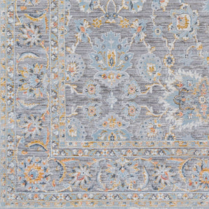 Livabliss Hassler Traditional Persian European Area Rug Machine Woven for Living and Dining Rooms Light Slate, Du 7'10" x 7'10" HSL2304-710RD
