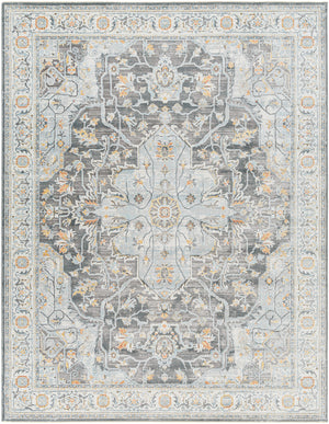 Hassler HSL-2305 9' x 12'2" Machine Woven Rug HSL2305-9122 Livabliss Surya