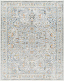 Hassler HSL-2306 9' x 12'2" Machine Woven Rug HSL2306-9122 Livabliss Surya