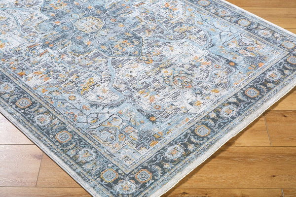 Livabliss Hassler Traditional Machine Woven Polypropylene Area Rug for Living and Dining Rooms Light Slate, Ch 7'10" x 7'10" HSL2307-710RD