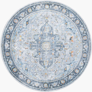Livabliss Hassler Traditional Machine Woven Polypropylene Area Rug for Living and Dining Rooms Light Slate, Ch 6'7" x 6'7" HSL2307-67RD