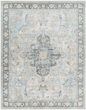 Hassler HSL-2307 9' x 12'2" Machine Woven Rug HSL2307-9122 Livabliss Surya