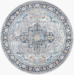 Livabliss Hassler Traditional Machine Woven Polypropylene Area Rug for Living and Dining Rooms Light Slate, Ch 7'10" x 7'10" HSL2307-710RD