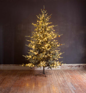 Park Hill Blue Spruce Christmas Tree, 9' XPQ82165 Park Hill