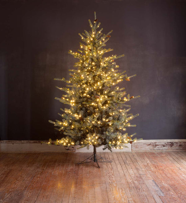 Park Hill Blue Spruce Christmas Tree, 9' XPQ82165 Park Hill