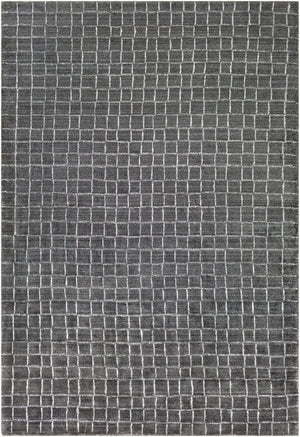 Surya Hightower Htw-3000 2' X 3' Luxurious Handmade Viscose Rug - Perfect For High Traffic Areas & Style Charcoal Viscose Htw3006-23
