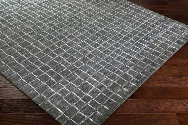 Surya Hightower Htw-3000 2' X 3' Luxurious Handmade Viscose Rug - Perfect For High Traffic Areas & Style Charcoal Viscose Htw3006-23