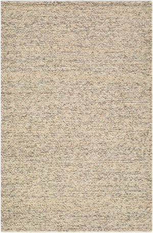 Livabliss Hazar Handwoven Wool Area Rug Bohemian Global Pattern for Entryway Living Room Taupe, Charcoal 2' x 3' HZA2302-23