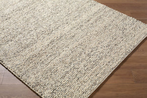 Livabliss Hazar Handwoven Wool Area Rug Bohemian Global Pattern for Entryway Living Room Taupe, Charcoal 2' x 3' HZA2302-23