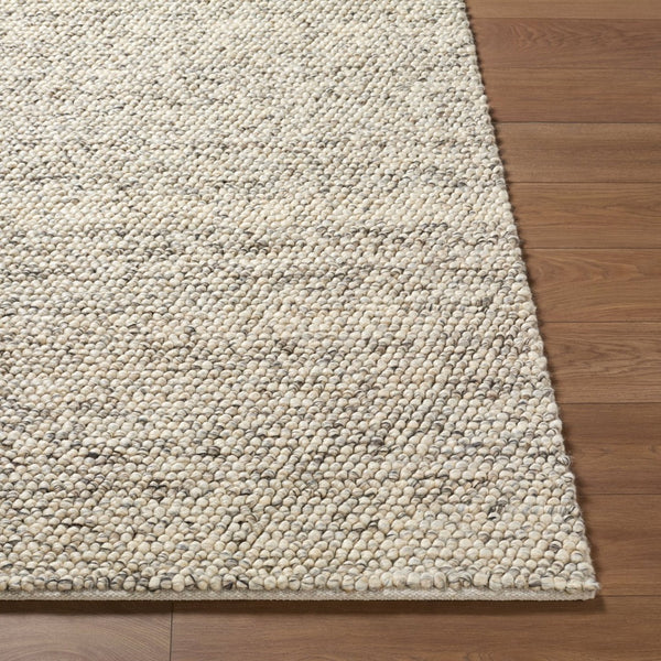 Livabliss Hazar Handwoven Wool Area Rug Bohemian Global Pattern for Entryway Living Room Taupe, Charcoal 2' x 3' HZA2302-23