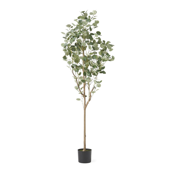 English Elm 180cm Artificial Eucalyptus Tree Faux Silver Dollar Foliage Tall Indoor Accent 70530.00
