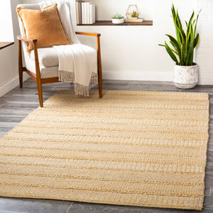 Surya Aria 2' X 3' Handmade Flatweave Rug - Durable Rayon & Jute Blend For Cottage Style Charm Off,White Jute,Rayon Iaa1001-23
