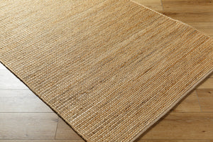 Aria IAA-1002 8' x 10' Handmade Rug IAA1002-810  Tan Surya