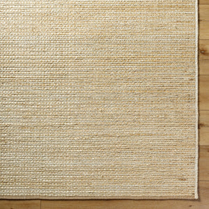 Aria IAA-1003 8' x 10' Handmade Rug IAA1003-810  Beige Surya