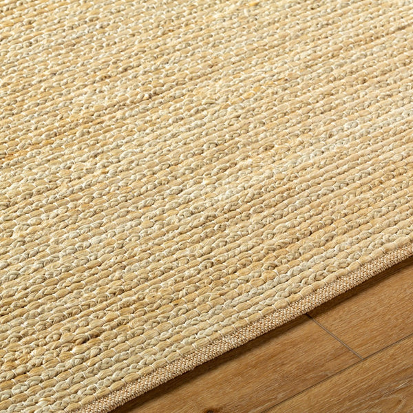 Surya Aria 2' X 3' Handmade Flatweave Rug - Durable Rayon & Jute Blend For Cottage Style Charm Beige Jute,Cotton Iaa1003-23