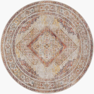 Livabliss Naila Traditional Fringe Area Rug Machine Woven Polyester for Formal Living Rooms Light Sage, Tan 7'10" x 7'10" IAL2303-710RD