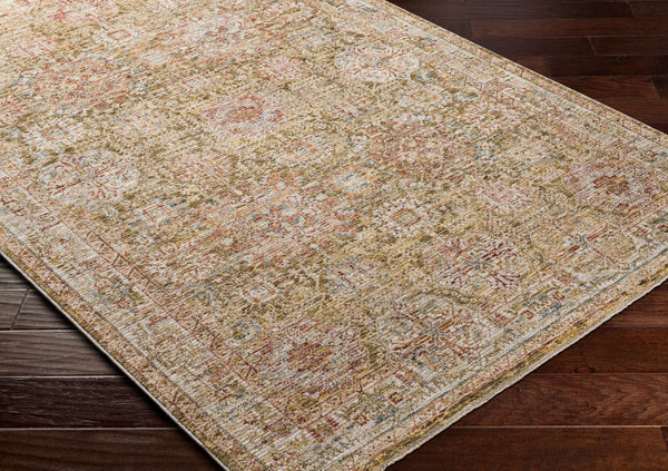 Livabliss Naila Traditional Fringe Area Rug Polyester Machine Woven for Living Room Bedroom Sage, Light Sag 6'7" x 6'7" IAL2306-67RD