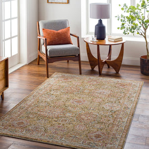 Livabliss Naila Traditional Fringe Area Rug Polyester Machine Woven for Living Room Bedroom Sage, Light Sag 5' x 7'5" IAL2306-575