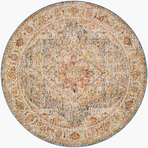Livabliss Naila Traditional Fringe Area Rug Polyester Pile for Formal Living and Dining Rooms Light Sage, Sag 5'3" x 5'3" IAL2317-53RD