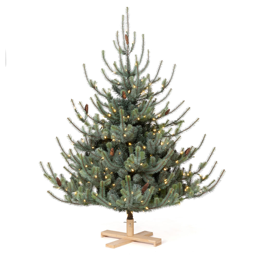 Park Hill Blue Spruce Christmas Tree, 5.5' Tree Lot XPQ20294 Park Hill
