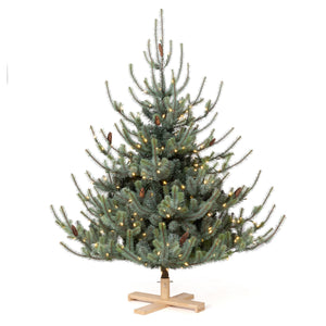 Park Hill Blue Spruce Christmas Tree, 5.5' Tree Lot XPQ20294 Park Hill