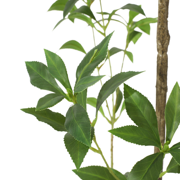 English Elm 240cmartificial Pieris Tree Lifelike Cascading Foliage Tall Indoor Botanical Accent 74348.00