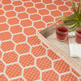 Nourison Reversible Indoor Outdoor RVB01 Machine Made Loom-woven Borderless Design Indoor/Outdoor Modern Outdoor Rug Coral, Coral 89% Polypropylene,11% Polyester 99446974198