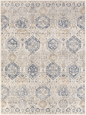 Livabliss Indigo Traditional Polypropylene Area Rug for Entryways Hallways and Compact Spaces Denim, Navy 7'8" x 10'2" IGO2308-710102