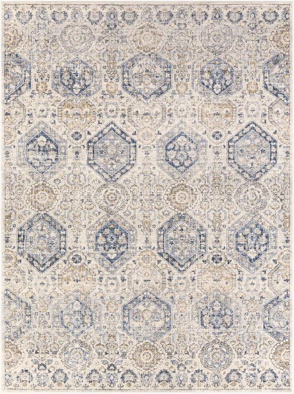 Livabliss Indigo Traditional Polypropylene Area Rug for Entryways Hallways and Compact Spaces Denim, Navy 7'8" x 10'2" IGO2308-710102