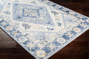 Livabliss Indigo Machine Woven Polypropylene Area Rug for Living Room Entryway Durable Pile IGO2310-4357