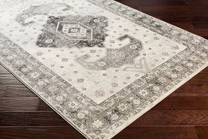 Livabliss Indigo Traditional Pattern Polypropylene Area Rug for Entryways Bathrooms and Bedside Charcoal, Gray 4'2" x 5'7" IGO2322-4357